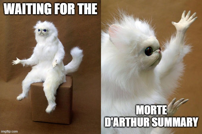waiting on summary | WAITING FOR THE; MORTE D'ARTHUR SUMMARY | image tagged in memes,persian cat room guardian | made w/ Imgflip meme maker