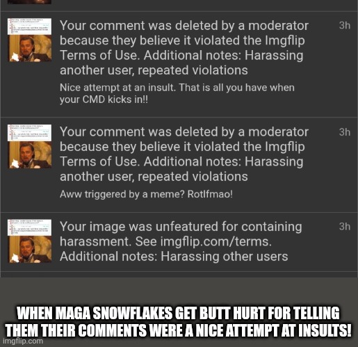 Snowflakes | WHEN MAGA SNOWFLAKES GET BUTT HURT FOR TELLING THEM THEIR COMMENTS WERE A NICE ATTEMPT AT INSULTS! | made w/ Imgflip meme maker