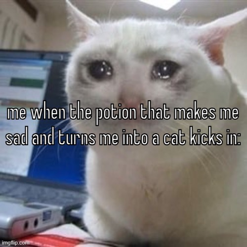 im so sad | me when the potion that makes me sad and turns me into a cat kicks in: | image tagged in sad cat tears | made w/ Imgflip meme maker