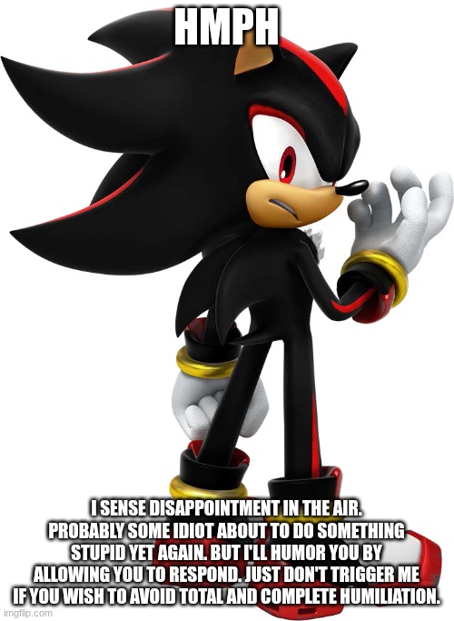 Shadow the hedgehog | HMPH I SENSE DISAPPOINTMENT IN THE AIR. PROBABLY SOME IDIOT ABOUT TO DO SOMETHING STUPID YET AGAIN. BUT I'LL HUMOR YOU BY ALLOWING YOU TO RE | image tagged in shadow the hedgehog | made w/ Imgflip meme maker