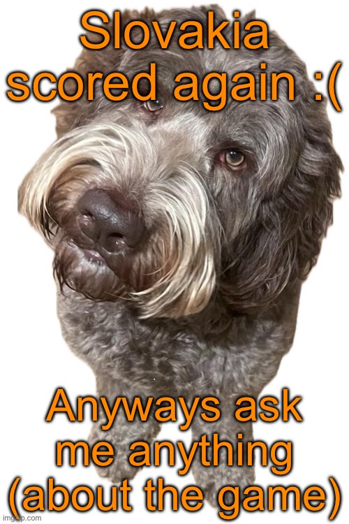 Norther's dog | Slovakia scored again :(; Anyways ask me anything (about the game) | image tagged in norther's dog | made w/ Imgflip meme maker