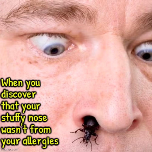 This Would Truly Suck | When you discover that your stuffy nose wasn't from your allergies | image tagged in bugs,allergies,cursed image,creepy,yuck,when you realize | made w/ Imgflip meme maker