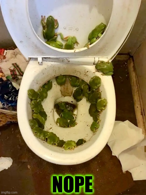 Nope | NOPE | image tagged in nope,frogs,potty,gross,oh hell no,public restrooms | made w/ Imgflip meme maker