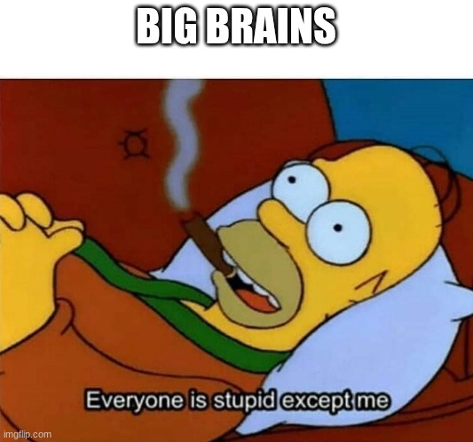 Everyone is stupid except me | BIG BRAINS | image tagged in everyone is stupid except me | made w/ Imgflip meme maker