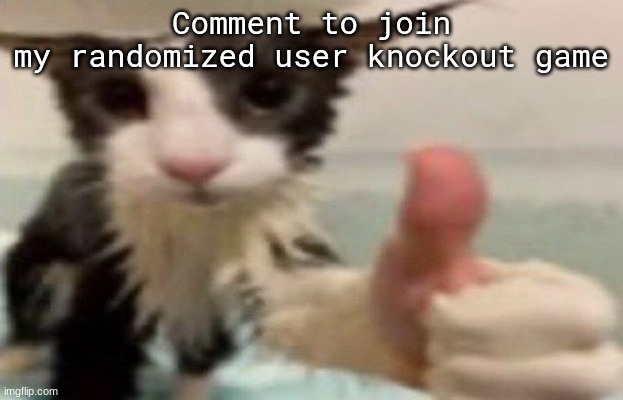 soggy cat thumbs up | Comment to join my randomized user knockout game | image tagged in soggy cat thumbs up | made w/ Imgflip meme maker