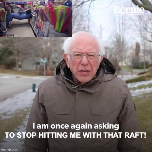 TO STOP HITTING ME WITH THAT RAFT! | image tagged in memes,bernie i am once again asking for your support | made w/ Imgflip meme maker