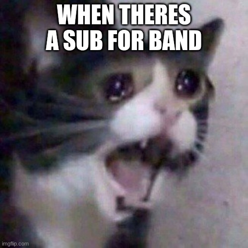 relatable band memes | WHEN THERES A SUB FOR BAND | image tagged in screaming cat meme | made w/ Imgflip meme maker