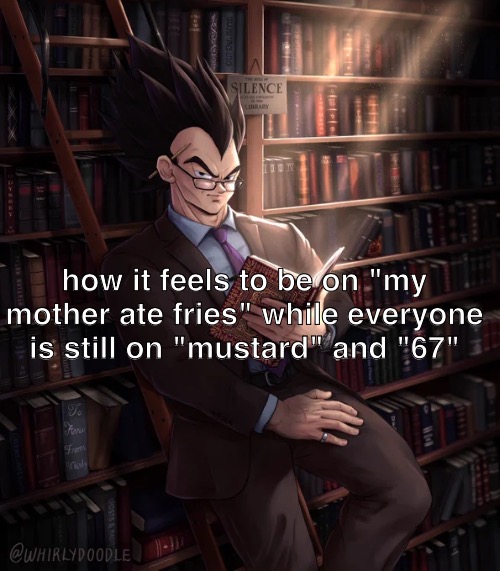 Librarian Vegeta | how it feels to be on "my mother ate fries" while everyone is still on "mustard" and "67" | image tagged in librarian vegeta | made w/ Imgflip meme maker