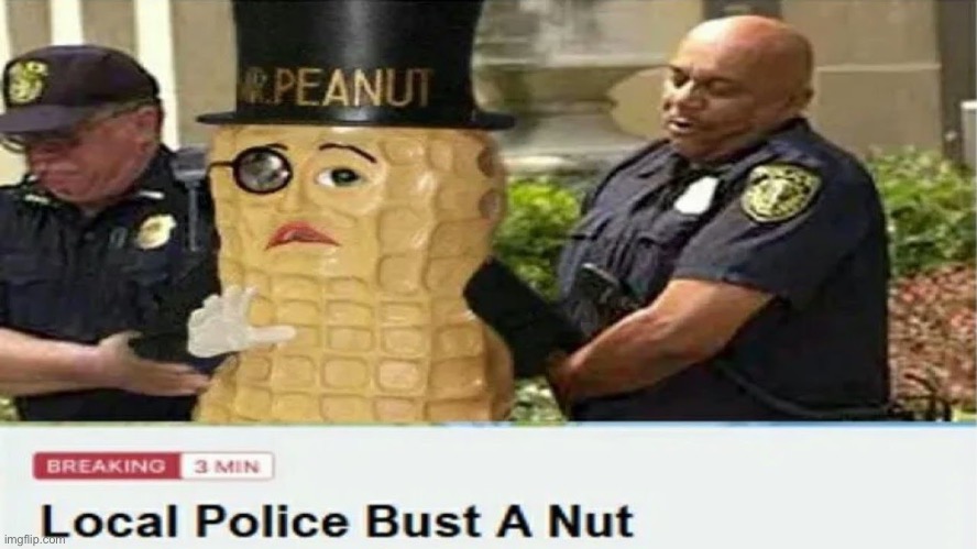 "Bust A Nut" | image tagged in bust a nut,the police,mr peanut,totally busted,dark humor,breaking news | made w/ Imgflip meme maker