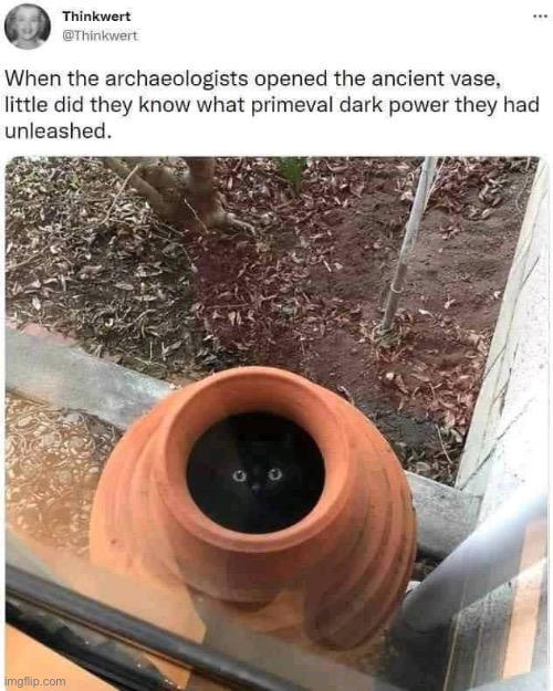Ancient History | image tagged in cats,cat,archeology,ancient,ancient egypt,egypt | made w/ Imgflip meme maker