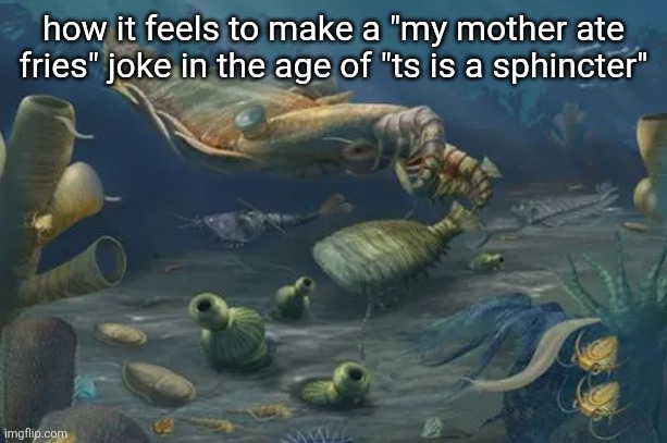 how it feels to make a "my mother ate fries" joke in the age of "ts is a sphincter" | made w/ Imgflip meme maker