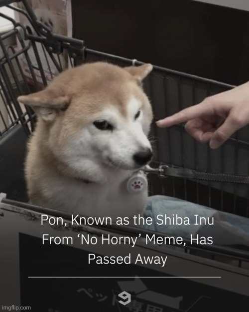 horny jail won't be the same without you | made w/ Imgflip meme maker