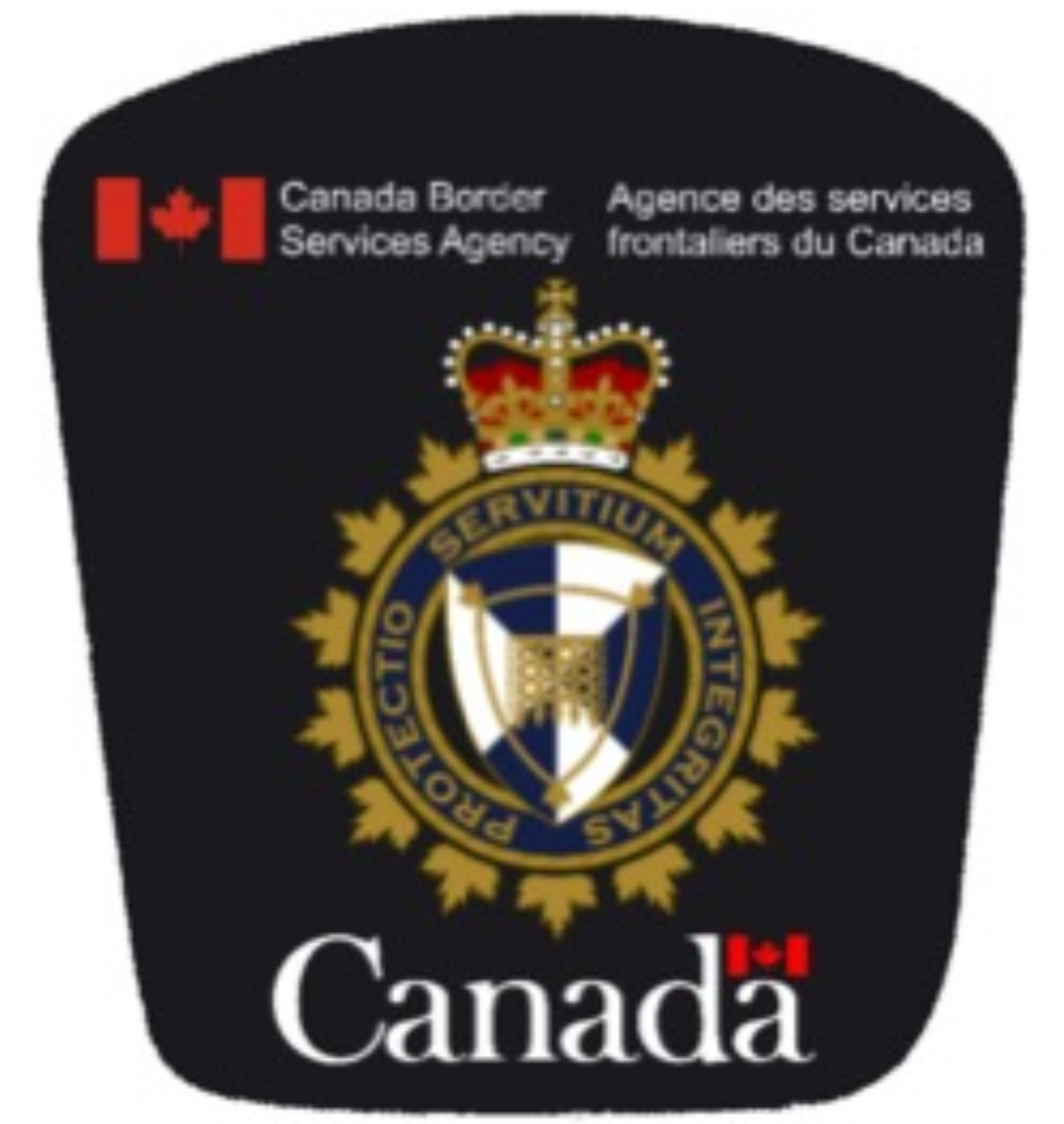 Canada customs Blank Meme Template