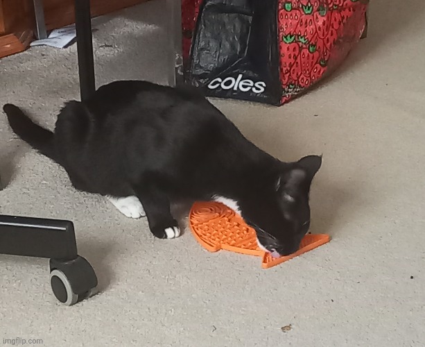 He loves his fishy lick mat | made w/ Imgflip meme maker