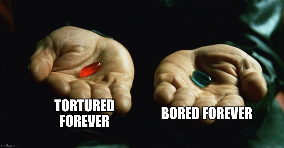 Red pill blue pill | TORTURED FOREVER BORED FOREVER | image tagged in red pill blue pill | made w/ Imgflip meme maker