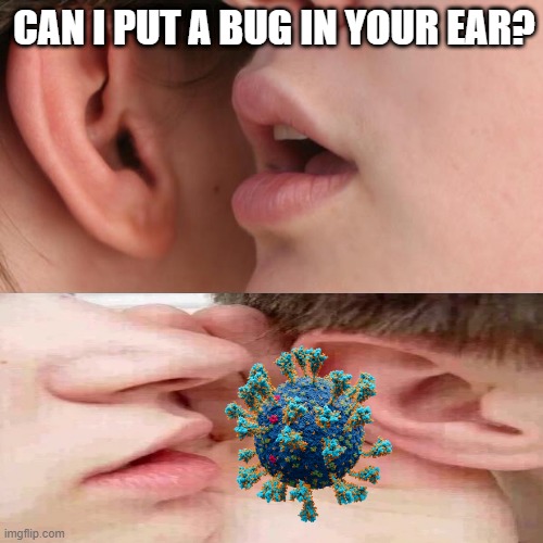 Whisper and Goosebumps | CAN I PUT A BUG IN YOUR EAR? | image tagged in whisper and goosebumps | made w/ Imgflip meme maker