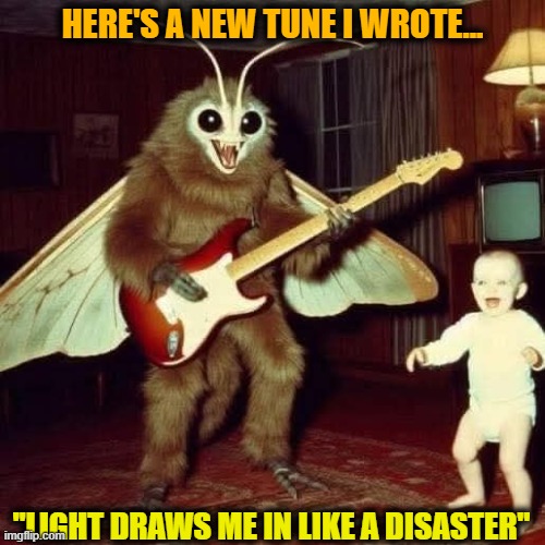 Mothman the musical | HERE'S A NEW TUNE I WROTE... "LIGHT DRAWS ME IN LIKE A DISASTER" | image tagged in mothman,music,disaster | made w/ Imgflip meme maker