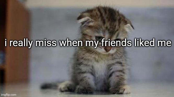 Sad kitten | i really miss when my friends liked me | image tagged in sad kitten | made w/ Imgflip meme maker