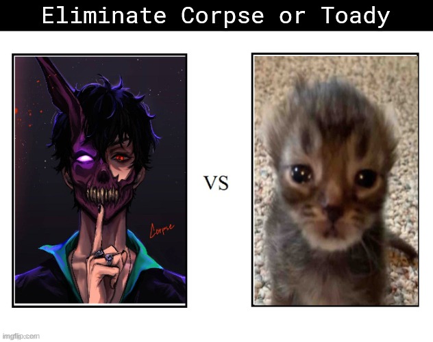 Masq im not gonna fucking count yo vote gng | Eliminate Corpse or Toady | made w/ Imgflip meme maker