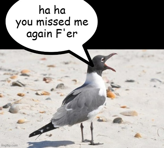 ha ha
you missed me
again F'er | made w/ Imgflip meme maker