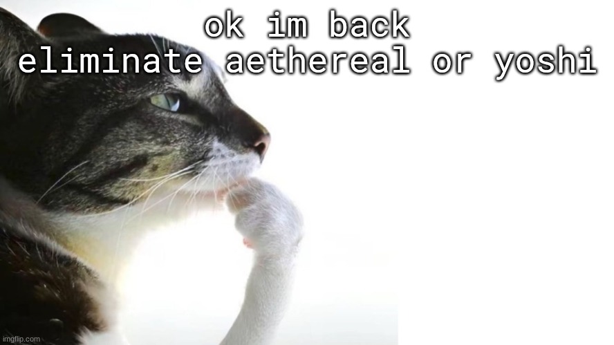 Thinker | ok im back
eliminate aethereal or yoshi | image tagged in thinker | made w/ Imgflip meme maker