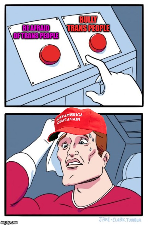 Wat | BULLY TRANS PEOPLE; BE AFRAID OF TRANS PEOPLE | image tagged in two button maga hat,trump,pedo | made w/ Imgflip meme maker