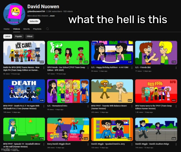 what the hell is this | made w/ Imgflip meme maker