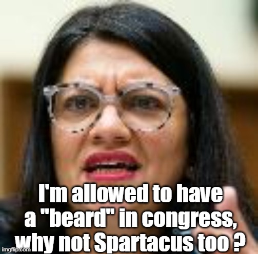 I'm allowed to have a "beard" in congress, why not Spartacus too ? | made w/ Imgflip meme maker