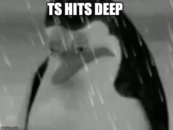 Sadge | TS HITS DEEP | image tagged in sadge | made w/ Imgflip meme maker