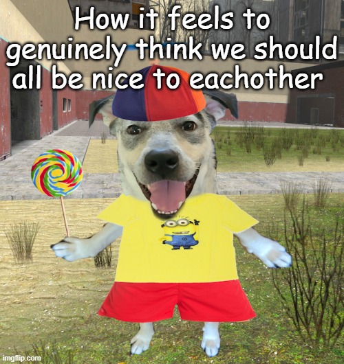 propeller hat dog | How it feels to genuinely think we should all be nice to eachother | image tagged in propeller hat dog | made w/ Imgflip meme maker