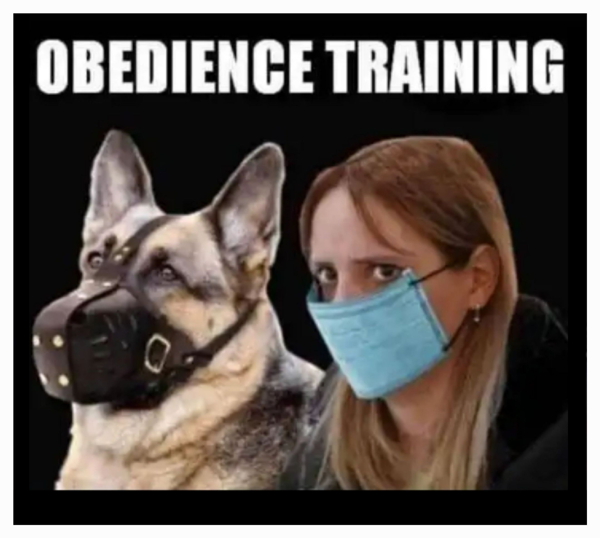 COVID-19 hoax Blank Meme Template