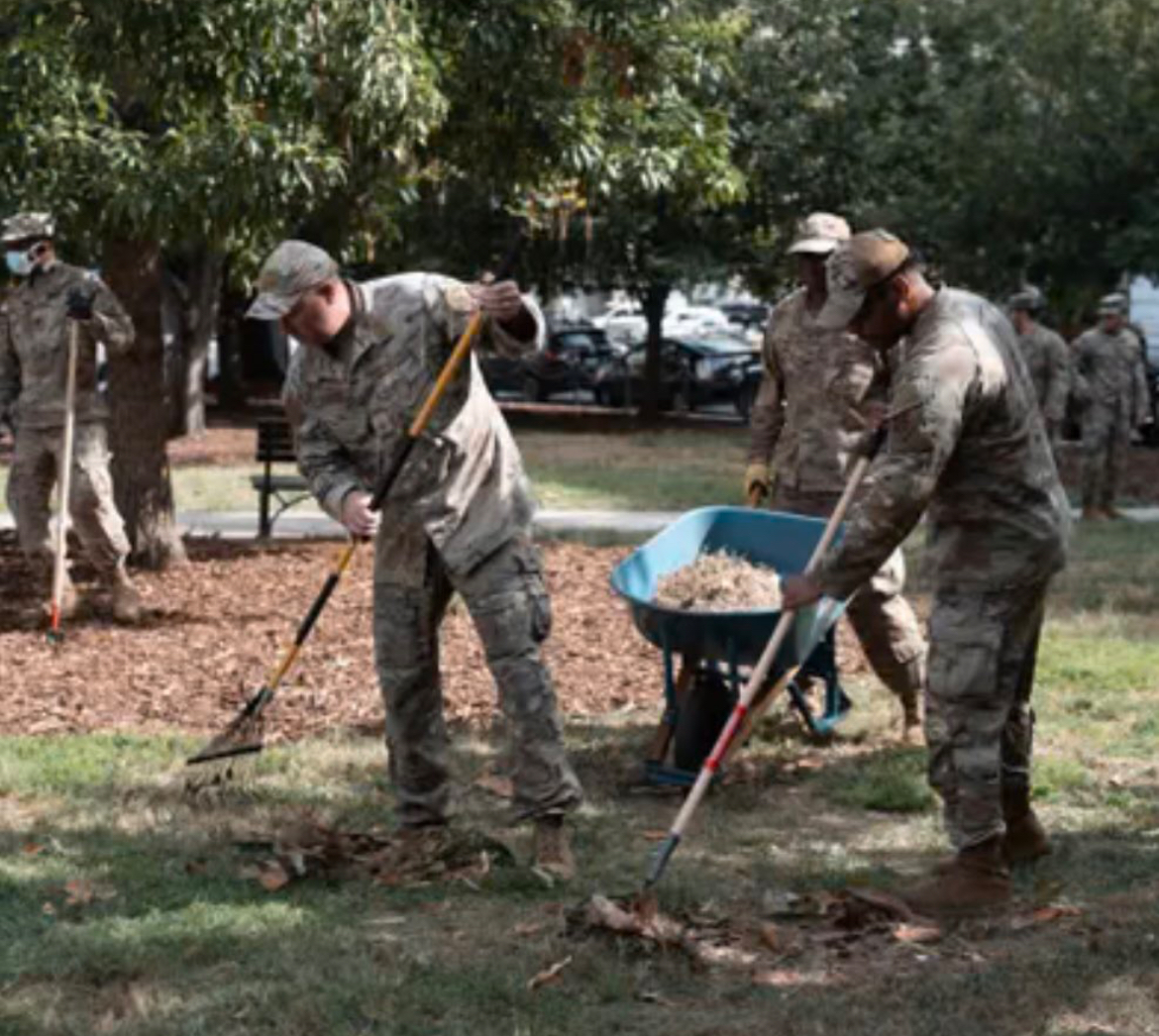 Department of Mulch Blank Meme Template