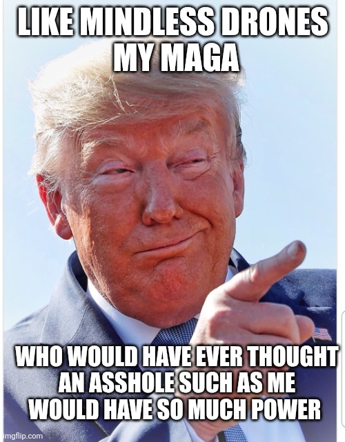 Trump pointing | LIKE MINDLESS DRONES
 MY MAGA WHO WOULD HAVE EVER THOUGHT
 AN ASSHOLE SUCH AS ME 
WOULD HAVE SO MUCH POWER | image tagged in trump pointing | made w/ Imgflip meme maker