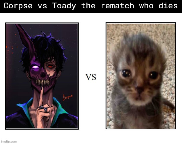 Corpse vs Toady the rematch who dies | made w/ Imgflip meme maker