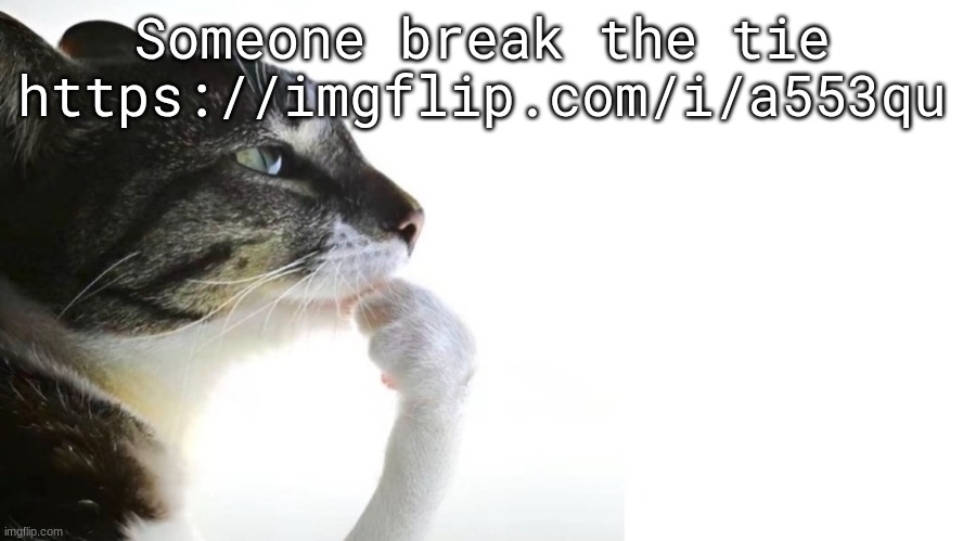 Thinker | Someone break the tie
https://imgflip.com/i/a553qu | image tagged in thinker | made w/ Imgflip meme maker
