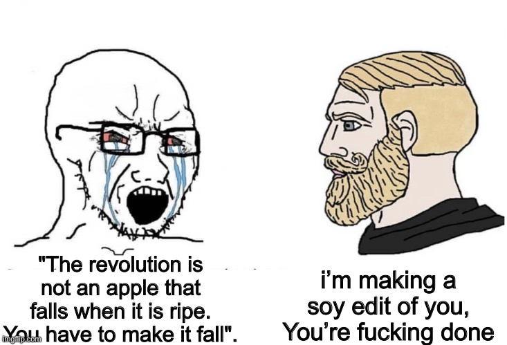 Soyboy Vs Yes Chad | "The revolution is not an apple that falls when it is ripe. You have to make it fall". i’m making a soy edit of you, You’re fucking done | image tagged in soyboy vs yes chad,politics,memes,shitpost | made w/ Imgflip meme maker