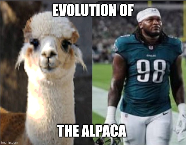 EVOLUTION OF; THE ALPACA | made w/ Imgflip meme maker