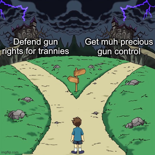Which way, leftist they/them? | Defend gun rights for trannies; Get muh precious gun control | image tagged in two paths | made w/ Imgflip meme maker
