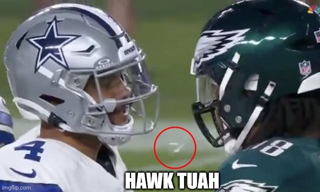 HAWK TUAH | image tagged in hawk tuah,nfl,nfl memes,philadelphia eagles,dallas cowboys | made w/ Imgflip meme maker
