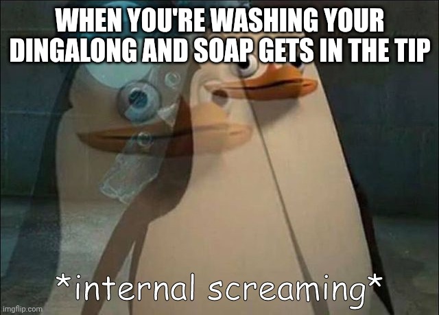 Men can relate. Surely. If not you are no man | WHEN YOU'RE WASHING YOUR DINGALONG AND SOAP GETS IN THE TIP | image tagged in private internal screaming | made w/ Imgflip meme maker