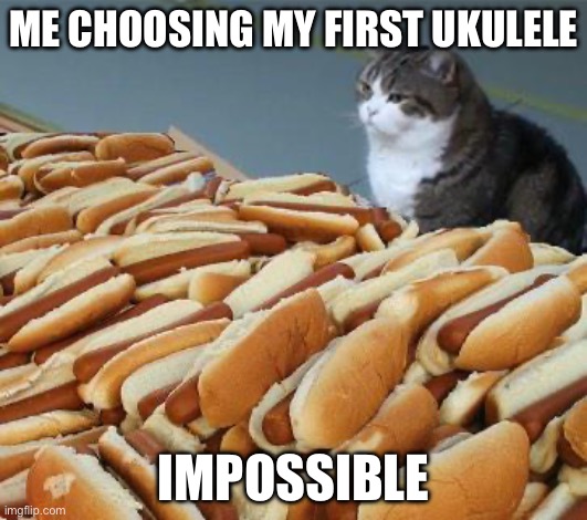 Too many options | ME CHOOSING MY FIRST UKULELE; IMPOSSIBLE | image tagged in too many options | made w/ Imgflip meme maker