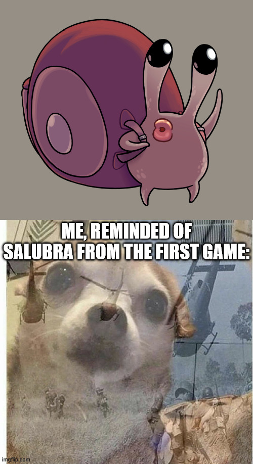 havent found Nuu yet, but i have a feeling i'll be seeing them in my sleep | ME, REMINDED OF SALUBRA FROM THE FIRST GAME: | image tagged in ptsd chihuahua,hollow knight,hollow knight silksong | made w/ Imgflip meme maker