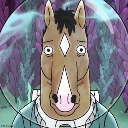 bojack horseman | image tagged in bojack horseman | made w/ Imgflip meme maker