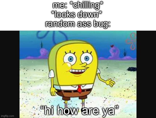 spongebob hi how are ya? | me: *chilling*
*looks down* 
random ass bug:; “hi how are ya” | image tagged in spongebob hi how are ya | made w/ Imgflip meme maker