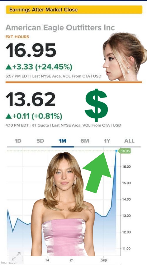 Sydney Sweeney driving profits up | image tagged in actress,skinny jeans,money money | made w/ Imgflip meme maker