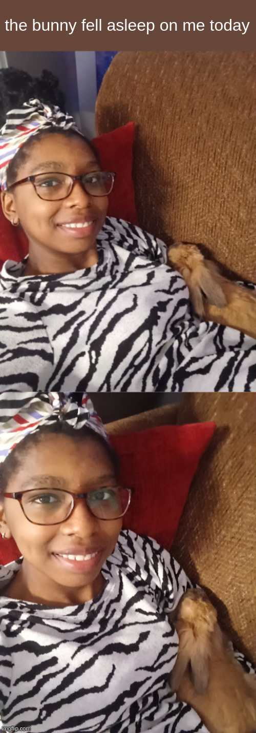 the bunny fell asleep on me today | made w/ Imgflip meme maker