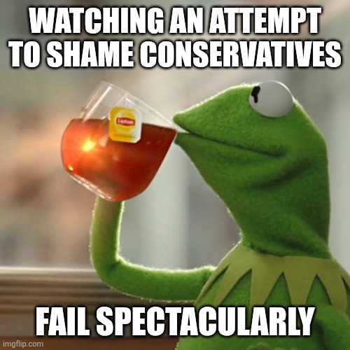 But That's None Of My Business | WATCHING AN ATTEMPT TO SHAME CONSERVATIVES; FAIL SPECTACULARLY | image tagged in memes,but that's none of my business,kermit the frog | made w/ Imgflip meme maker