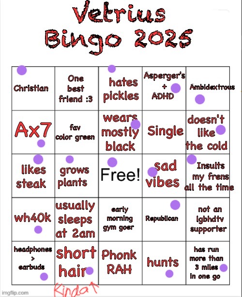 Vetrius bingo 2025 | image tagged in vetrius bingo 2025 | made w/ Imgflip meme maker