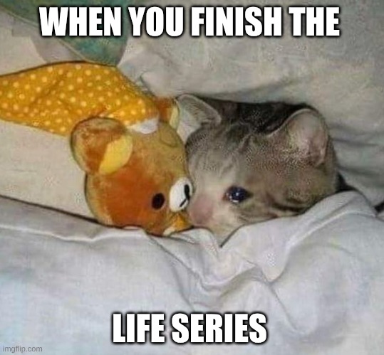 Life series memes | WHEN YOU FINISH THE; LIFE SERIES | image tagged in crying cat | made w/ Imgflip meme maker