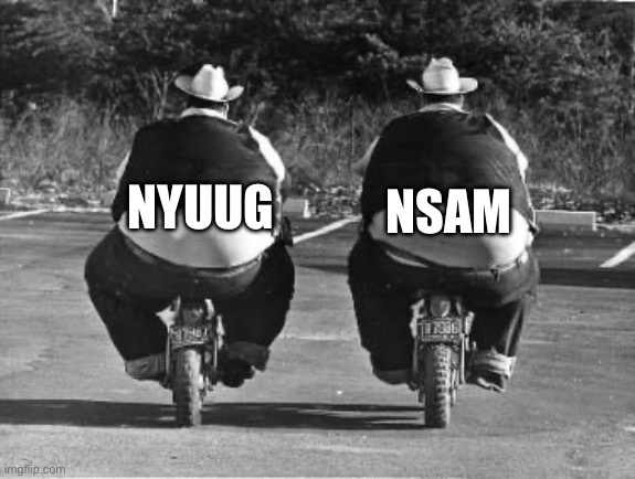 Fat twins | NSAM; NYUUG | image tagged in fat twins | made w/ Imgflip meme maker